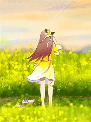 天官赐福红楼梦