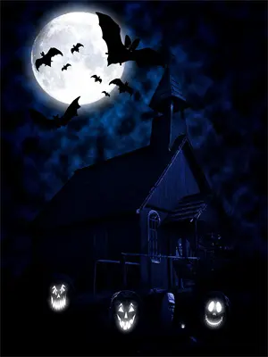 签到十年,天下无敌